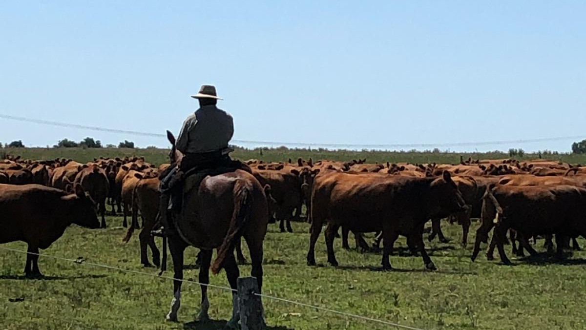 Reise Argentinien